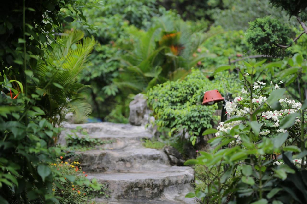 Tam Coc Lion Kings Hotel & Resort Ninh Binh Exterior photo